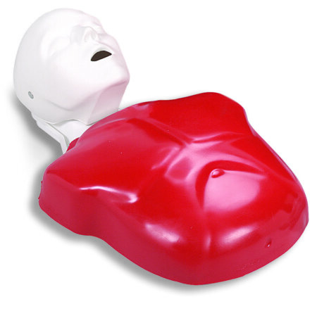 Basic Buddy CPR Torso