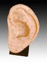 EAR XC-508A