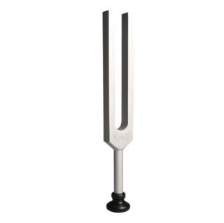 weber tuning fork used for