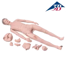 P10 PRO 3B Patient Care Manikin